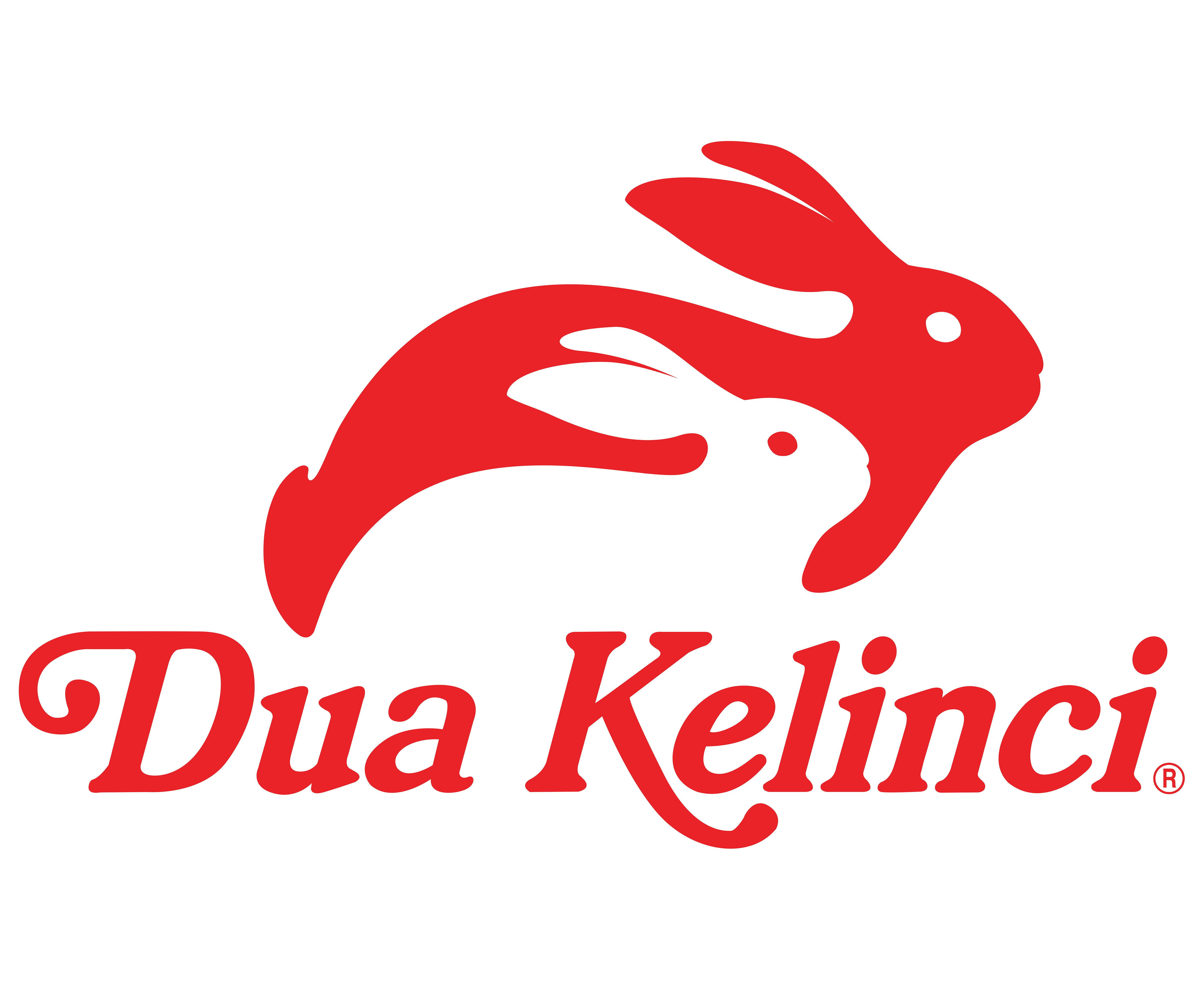 Category of MAIN SPONSOR